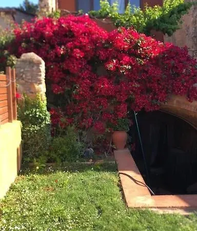 Tatil Evi Casa Con Piscina En Vulpellac, Baix Emporda *