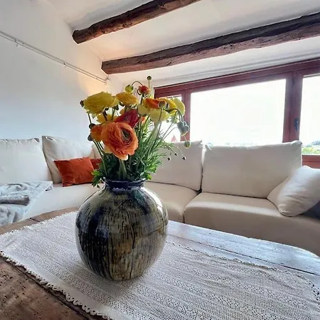 Casa Con Piscina En Vulpellac, Baix Emporda * Vulpellac